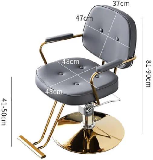 Fauteuil de coiffure classique - Fauteuil de salon réglable avec rotation à 360° et pompe hydraulique - Fauteuil de barbier en cuir haut de gamme pour coiffeurs et salons de tatouage, argent Silver B