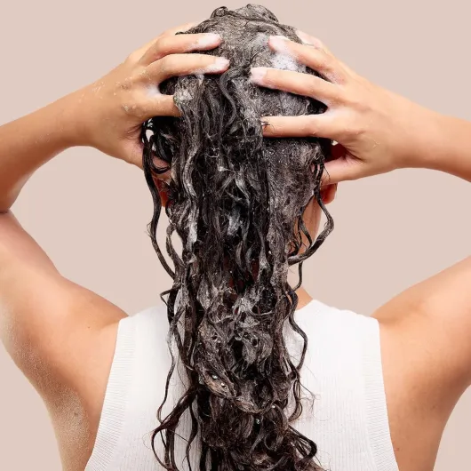 712lun46oBL._AC_SL1000_