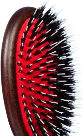 71qyGkzPboL._AC_SL1500_