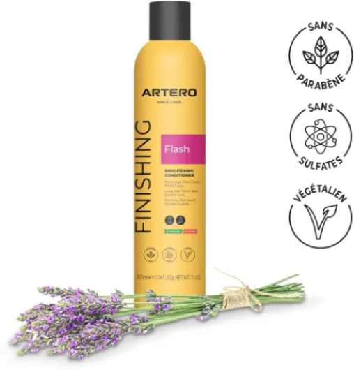 51tS8qJyXBL._AC_SL1000_