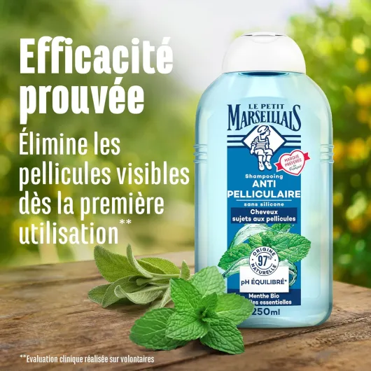 81fRplrL7aL._AC_SL1500_