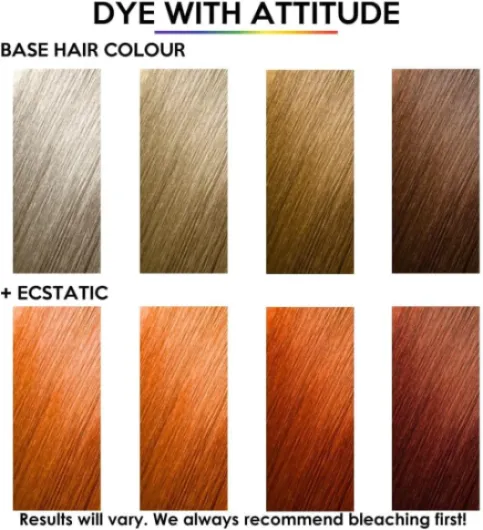 71YlRoNwHpL._AC_SL1000_