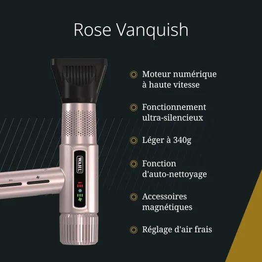 Wahl Vanquish - Sèche-cheveux professionnel - Séchage rapide - Avec embouts magnétiques et diffuseur - Or rose